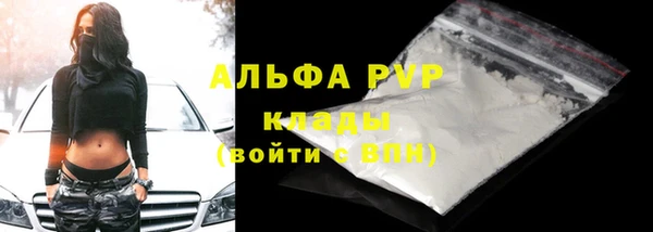 спиды Гусь-Хрустальный